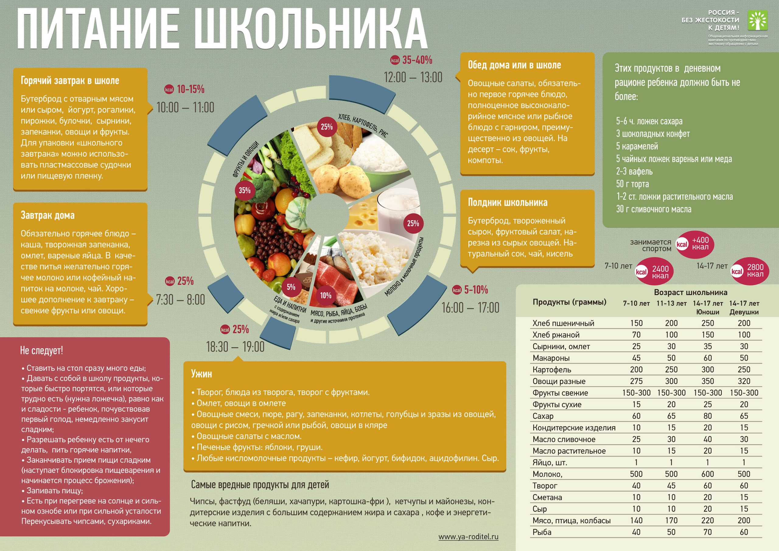 Организация питания в образовательной организации — Школа № 546